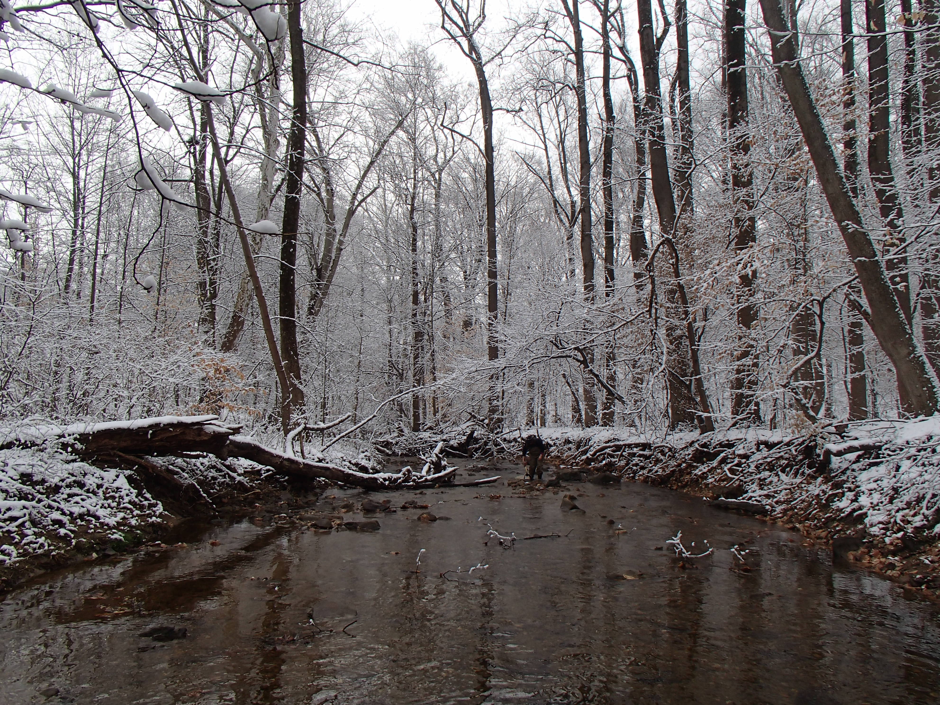 Field photo showing stream conditions at site PATL-288-X-2016_midpoint looking downstream